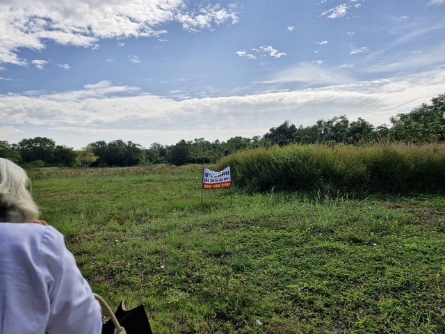 ขายที่ดินติดถนน 2 แปลงติดกัน ตำบลดงละคร อำเภอเมืองนครนายก จังหวัดนครนายก