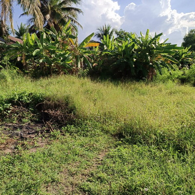 รหัสทรัพย์ : L#96034 (L080692) ที่ดินเปล่า 295  ตร.ว.  ใจกลางเมืองสูงเนิน   การคมนาคมสะดวก ใกล้สถานที่ราชการ , ตลาดสด   เหมาะทำโครงการ  ราคา 3,687,500  บาท  ที่ตั้ง : ต.สูงเนิน  อ.สูงเนิน  จ.นครราชสีมาสถานที่ใกล้เคียง- โรงพยาบาลสูงเนิน                  - ตลาดสดสูงเนิน                  - สถานีรถไฟความเร็วสูง            สนใจสอบถามข้อมูลเพิ่มเติมได้ที่#ERA พร็อพเพอร์ตี้ เน็ทเวิร์ค จำกัด02-108-9895 , 083-499-3410LINE ID : @erapropertynetworkช่องทางการติดต