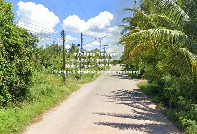 พื้นที่ดิน ที่ดิน พร้อมสวนเกษตร (สวนยาง+มะพร้าว) ต.ชัยบุรี อ.เมืองพัทลุง จ.พัทลุง 5000000 THAI BAHT  ขนาด 2988 ตาราง-วา ใกล้กับ วัดวิหารสูง, วัดมะกอกเหนือ และโรงเรียนวัดมะกอกใต้ ทำเลสวย พัทลุง