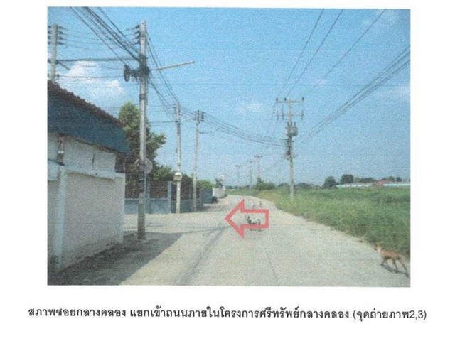 ขายบ้านเดี่ยวมือสอง อำเภอเมืองพิษณุโลก  จังหวัดพิษณุโลก  โครงการ ศรีทรัพย์ 5