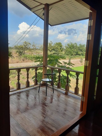 ขายบ้านไม้สไตล์โคกหนองนา  ต. บ้านกล้วย  อ. ชนแดน จ. เพชรบูรณ์ 5 ไร่ 3 งาน