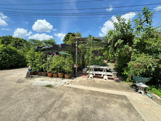 ขายที่ดินพร้อมสิ่งปลูกสร้างตรงข้ามเดอะมอลล์บางแคห่าง mrt หลักสอง 200 เมตรแขวงบางแค เขตบางแค กรุงเทพฯอยู่ในซอยเพชรเกษม 47พื้นที่สีแดง..ทำเลดีขายต่ำกว่าราคาตลาดเป็นเท่าตัวแหล่งเศรษฐกิจมีโฉนด 8 ใบรวมเนื้อที่ 407 ตารางวามีถนนทางเข้าออก รถยนต์เข้าได้มีบ้านเดี่ยว..ชั้นเดียว 1 หลังห่างจากถนนเพชรเกษม 150 เมตรห่างจาก MRT หลักสอง 200 เมตรห่างเดอะมอลล์ 250 เมตรขายเพียง 25 ล้านบา