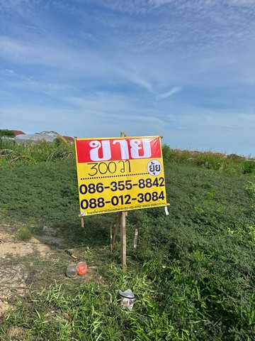 ขายที่ดิน 300 ตารางวา  ซอยพัฒนาชุมชน 16 ศรีด่าน 22  บางแก้ว บางพลี สมุทรปราการ  ZT519