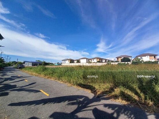 ขายถูกที่ดินสวยติดถนน วิวคลอง 300 ตารางวา เหมาะสร้างบ้าน  ใกล้ตลาดบางใหญ่ ใกล้ห้าง