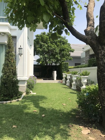 ขายด่วนบ้านเดี่ยว บ้าน คิวเฮ้าส์ อเวนิว นครอินทร์ ราชพฤกษ์ ต. บางคูเวียง อ.บางกรวย จ.นนทบุรี