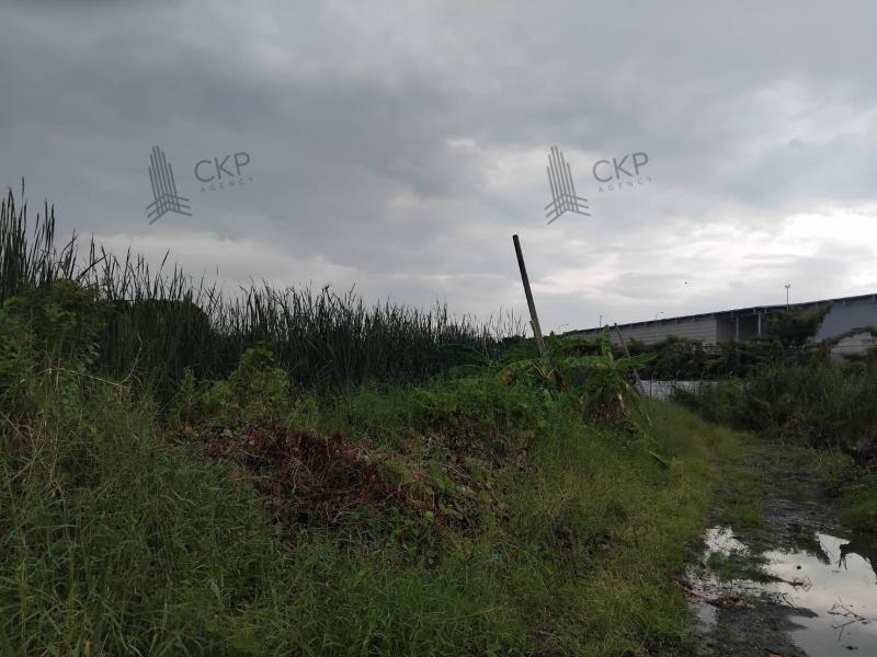 ขาย ที่ดินเปล่า ใกล้mrt คลองบางไผ่ เดินทางสะดวก ติดถนนหลายเส้น ใกล้เซ็นทรัล เวสต์เกต ต.บางรักใหญ่ อ.บางบัวทอง นนทบุรี ติดต่อสอบถามได้ค่ะรายละเอียด (Description)- ขนาด 50 ตร.วาการเดินทาง- ถนนกาญจนาภิเษก  850 เมตร- MRT คลองบางไผ่  1.3 กิโลเมตร- ถนนจันทร์ทองเอี่ยม  1.7 กิโลเมตร- ถนนบางกรวย-ไทรน้อย  2.8 กิโลเมตรสถานที่ใกล้เคียง- โฮมโปร บางบัวทอง  1.5 กิโลเมตร- โรงเรียนจันทร์ทองเอี่ยม  1.8 กิโลเม