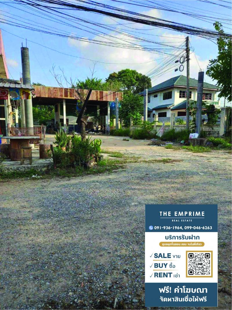 Land for Sell  ขายที่ดินติดถนนธนะรัชต์  ใกล้ ปตท.ทางขึ้นเขาใหญ่ (หนองสาหร่าย)