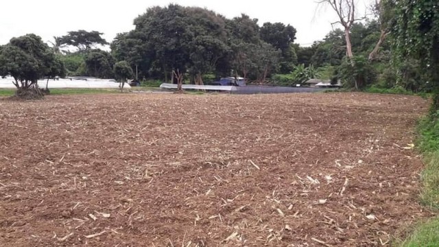 ที่ดินเปล่า ใกล้แหล่งท่องเที่ยว ติดถนน หลังติดน้ำปิง แม่ริม