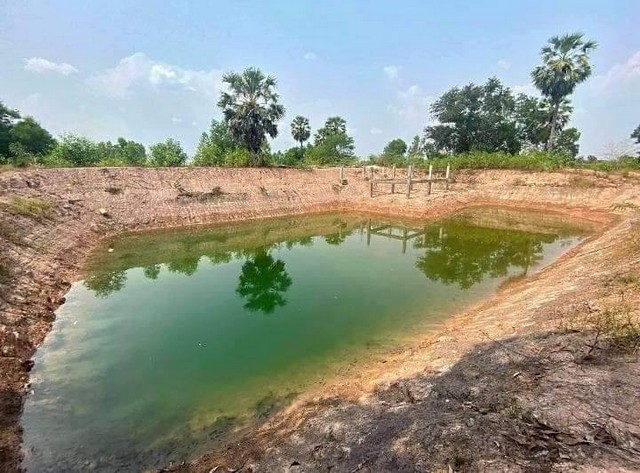 ขายที่ดิน ประจันตคาม 9 ไร่ 2 งาน                จังหวัดปราจีนบุรี (โคกหนองนา) ทั้งแปลงเพียง 950,000 บาท  ‼️ฟรีโอน***เคยถางปรับที่ดินแล้ว แต่ไม่ได้ไปเป็นเวลานาน จึงมีหญ้าขึ้นปกคลุม ******ขายเพราะอยู่กรุงเทพฯ ไม่มีเวลาดูแล***สภาพที่ดิน    -ขุดคลองไส้ไก่รอบที่ดิน -ทำคันดินสูง 1.5-2 เมตร รอบที่ดิน -ไม่มีไฟฟ้า (ติดตั้งโซล่าเซลได้) -ไม่มีน้ำประปา (สามารถเดินท่อประปาชั่วคราวได้ หรือใช้น้ำใน