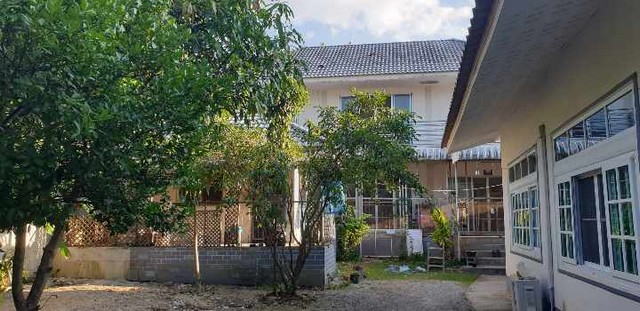 ขายบ้าน 2 หลัง ในตัวเมืองเชียงใหม่ ตำบลป่าแดด อำเภอเมืองเชียงใหม่ จังหวัดเชียงใหม่ บนเนื้อที่ 337 ตารางวา 