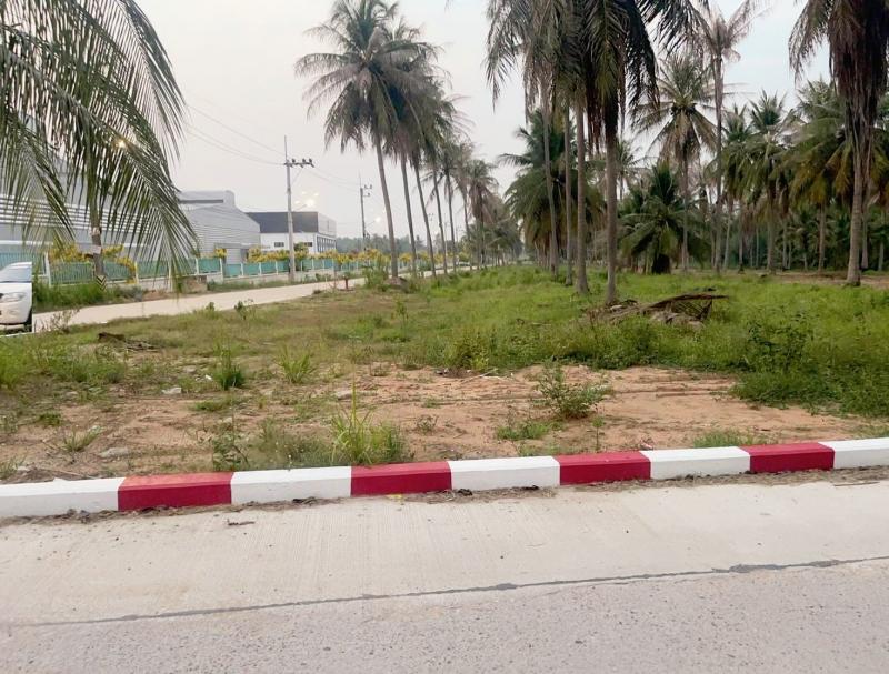 ขายที่ดินสร้างโรงงานบางละมุง​ชลบุรี​ ????️เนื้อที่​  20​  ไร่  ห่างท่าเรือแหลมฉบัง 18 กม