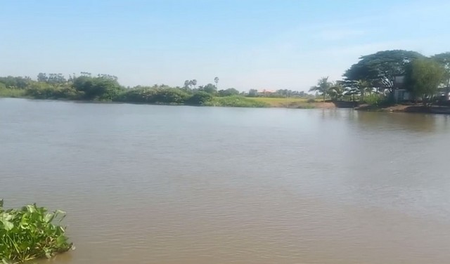          ขายที่ดินติดแม่น้ำบางปะกง เนื้อที่ 24 ไร่ 2 งาน 54 ตรว. มีหน้ากว้างติดแม่น้ำ 94 เมตร ส่วนที่ติดถนนสาธารณะ 107 เมตร ที่ดินปัจจุบันเป็นที่นา         มีไฟฟ้า ( เสาไฟมาตามริมแม่น้ำ ) ประปาหมู่บ้านพร้อมใช้มีเพื่อนบ้านปลูกบ้านอยู่ทั้งด้านข้าง และฝั่งตรงข้าม ไม่เปลี่ยว บรรยากาศสงบ         สถานที่ใกล้เคียงที่ดิน ในระยะ 5 กิโลเมตร คือ วัดบางยาง , โรงเรียนวัดบางยาง , อบต.บางยาง , สอ