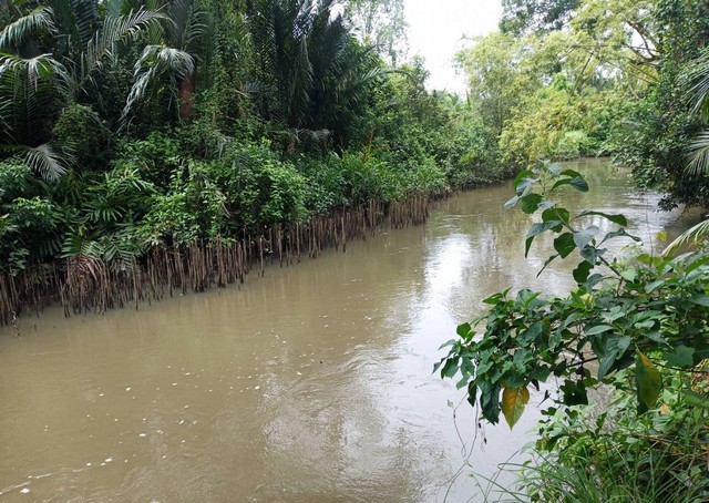 พื้นที่ดิน ขาย/ให้เช่าที่ดินถมแล้ว (ผังสีเหลือง) 500 ตร.ว. (ซอยนวมินทร์ 95) ห่างถนนนวมินทร์ เพียง 100 ม., ราคา 60 ล้านบาท ใหญ่ 500 Square Wah  60000000 - เล่นใหญ่ กรุงเทพ