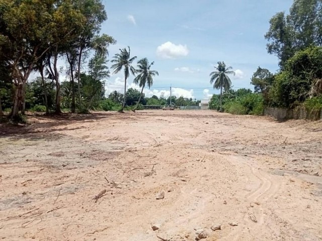 ขายที่ดินเปล่า บางละมุง พิกัด โรงโป๊ะ-ตะเคียนเตี้ย เข้าซอย รร ศรีสุวิทย์ TP-L0727