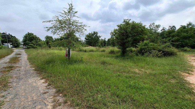 ขายด่วน ที่ดิน 65 ตารางวา ใกล้ชุดาปาร์ค เมืองขอนแก่น  ZE763