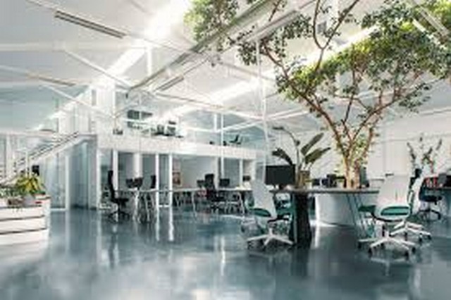 ขายสำนักงานท่ามกลางธรรมชาติ รายล้อมด้วยต้นไม้ตกแต่งพร้อมใช้งาน เริ่มต้น 3.2ล้าน