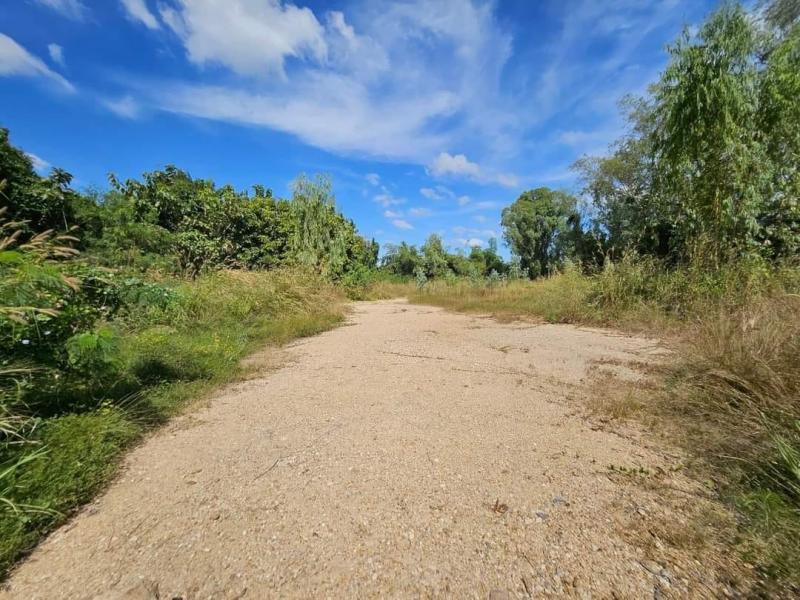 #ให้เช่าที่ดินใกล้ถนน331พนัสชลบุรี098-9955449#ให้เช่าที่ดินปรับถมแล้ว. 3ไร่‼️เพียงเดือนละ 6,500. บาท????พิกัด เนินหิน ต.หนองเหียง อ.พนัสนิคม จ.ชลบุรี#ห่างจากถนน331เพียง. 150. เมตร????หน้ากว้างประมาณ 56 เมตร????ติดถนนสาธารณะ  6. เมตร????ไฟฟ้า ????ใกล้ตลาดเนินหิน????รถใหญ่เข้าออกสบาย????เหมาะสำหรับเช่าเป็นที่จอดรถ.,โกดังเก็บของ,  ที่พักพนักงาน ,หรือ วางสินค้า♨️เงื่อนไขการเช่าค่าเช่า 6,500 บาท/เดือน 