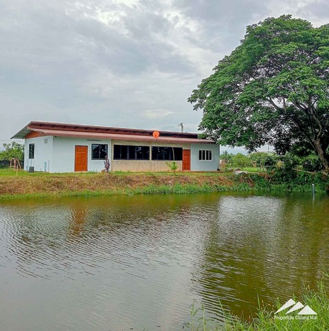 ขายบ้านเดี่ยว  ขนาดบ้าน: 160 ตร.ม. 3 นอน 3 น้ำ ต.แม่งนอน อำเภอฝาง เชียงใหม่ ทำเลดีขายบ้านเดี่ยว ต.แม่งนอน อำเภอฝาง เชียงใหม่ขนาดบ้าน: 160 ตร.ม.ขนาดที่ดิน: 1 ไร่ 16.7 ตรว.3 ห้องนอน3 ห้องน้ำเฟอร์นิเจอร์บางส่วนพื้นที่กว้าง มีบ่อน้ำ เดินทางเข้าออกสะดวก ทำเลดีราคาขาย 1,500,000  บาท