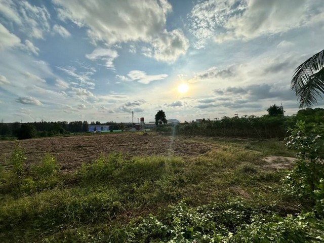 ขายที่ดินเปล่า โซนนิคม WHA1 บ่อวิน ศรีราชา (ผังม่วงลาย) TP-L0733