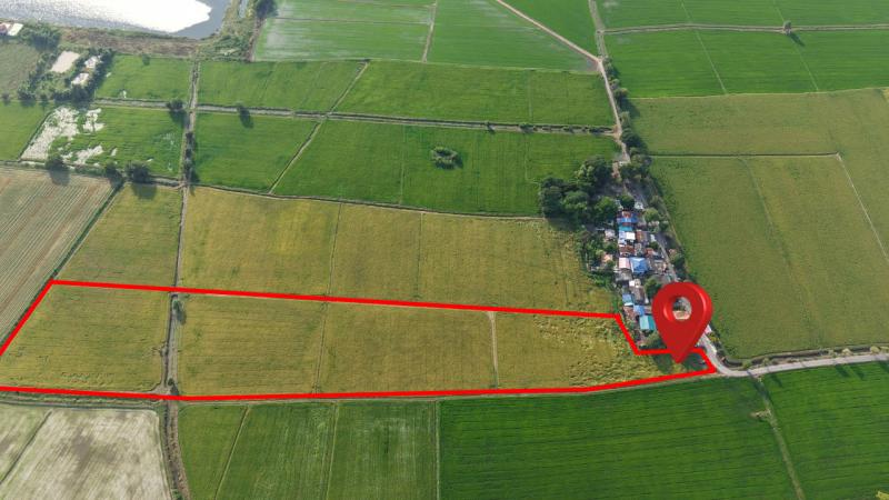 ขายที่ดิน ไผ่ต่ำ สระบุรี สามารถดัดแปลงทำได้หลายอย่าง