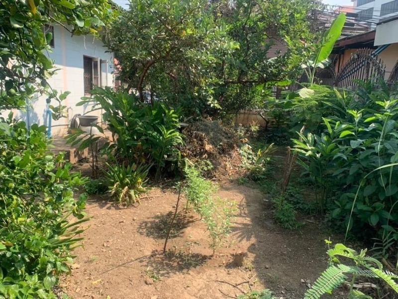 โซนช้างเผือก ขาย 7 ล้าน 116 ตรว. 4 นอน 5 น้ำ บ้านชั้นเดียว เนื้อที่เยอะ #วิวภูเขาสวย #ใกล้เมญ่า #ใกล้นิมมาน #ซื้ออยู่เองหรือปล่อยเช่าได้