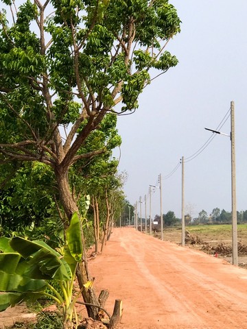 ขายที่ดินสวย   2 ไร่ และ 3 ไร่  เจ้าของขายเอง ตำบลท่าเรือ อำเภอปากพลี นครนายก