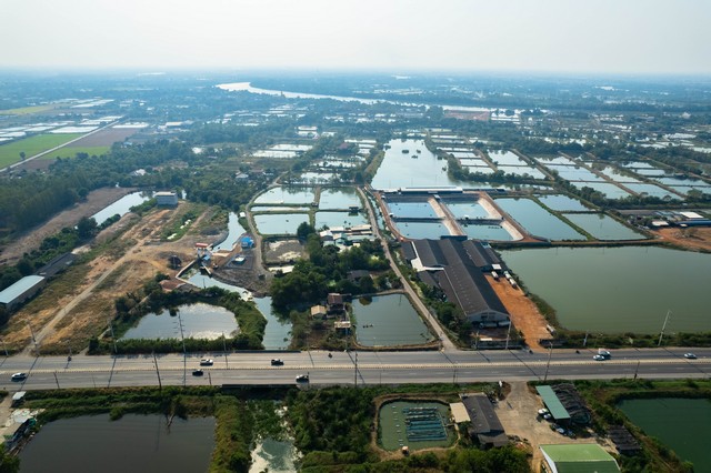             ขายที่ดิน 117 ตรว. ถมแล้วเต็มพื้นที่ติดคลองธรรมชาติชื่อ “ คลองนา ”( คลองกว้างประมาณ 10 เมตร )             และคลองนี้เป็นคลองน้ำขึ้น น้ำลงตามแม่น้ำบางปะกง จากที่ดินนี้แปลงสามารถนำเรือออกสู่แม่น้ำได้            ที่ดินมีหน้ากว้างติดถนนซอยสาธารณะ 15 เมตร ด้านที่ติดคลอง 15 เมตร             มีรูปร่างสี่เหลี่ยมผืนผ้า มีน้ำประปา ไฟฟ้า ผ่านหน้าที่ดิน และมีเพื่อนบ้านปลูกอยู่ใกล้เคียง