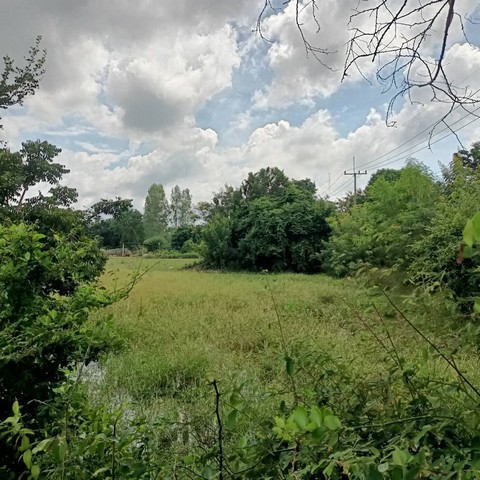 ที่ดิน 2-2-65 ไร่ หลังสำนักงานอุตสาหกรรมจังหวัด   ต.น้ำซึม อ.เมือง จ.อุทัยธานี   ZK330