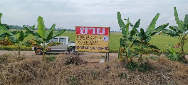 ขายที่นา ทำเลดี ราคาถูก 19-3-25 ไร่  อ.เมือง จ.พิษณุโลก  ZK382