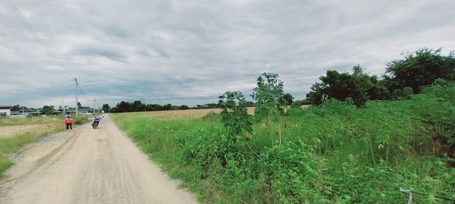 ขายที่ดิน 16-0-97.9 ไร่ หนองปลิง  เมืองนครสวรรค์  ZK377