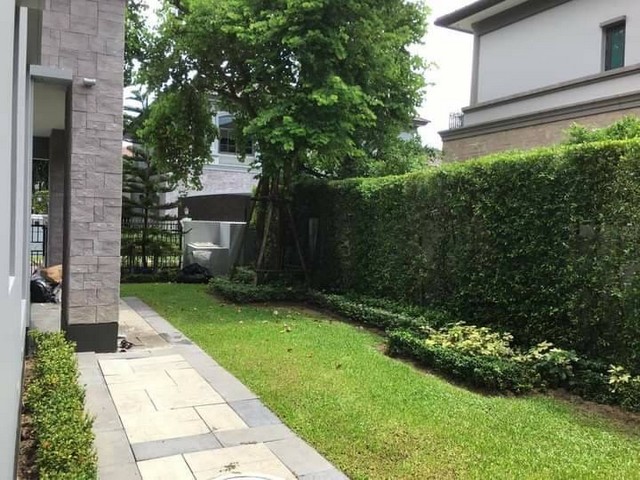 ขายบ้าน เดอะแกรนด์ปิ่นเกล้า อัลพีน่า   บ้านใหม่ยังไม่เคยอยู่