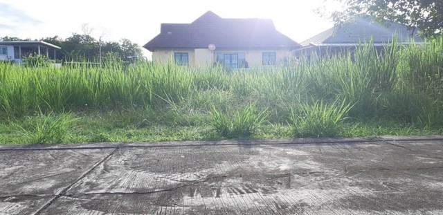 ที่ดิน น้ำไม่ท่วม ในโครงการ วิวภูเขา พร้อมแบบก่อสร้าง หางดง 