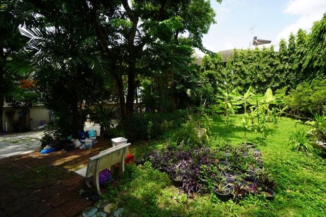 ขายบ้านเดี่ยวสุขุมวิท 71  ปรีดีพนมย์ 14   ????เนื้อที่ 210 ตรว.