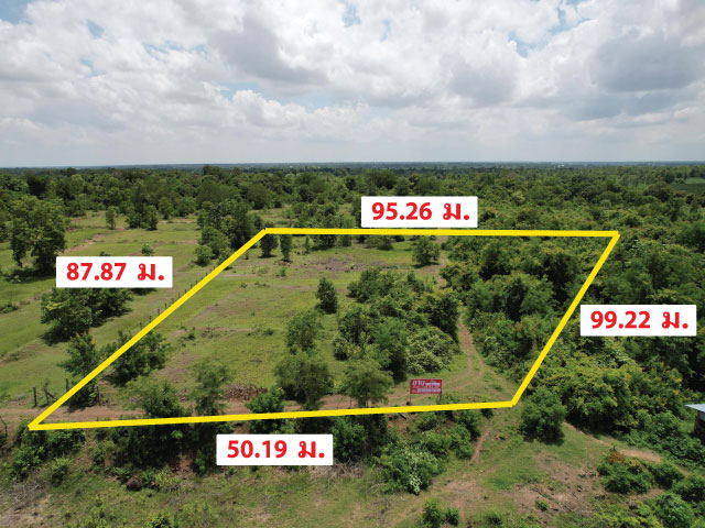 ขายที่ดิน 4 ไร่ หมู่ 17 ไทยพัฒนา ซอย 2 ต.เสม็ด อ.เมืองบุรีรัมย์ จ.บุรีรัมย์  ใกล้สนามช้างที่ตั้ง : หมู่ 17 ไทยพัฒนา ซอย 2 ต.เสม็ด อ.เมืองบุรีรัมย์จ.บุรีรัมย์พิกัด : https://goo.gl/maps/3dwma4aNX1c4SVce9รหัสทรัพย์: OPCK87006ข้อมูลทรัพย์:http://tnyurl.au/60jjwขาย 3.8 ล้านบาท ลักษณะเด่น :●น้ำไม่ท่วม●สามารถสร้างบ้านได้เลย ไม่ต้องถมดิน●ใกล้สนามช้าง อินเตอร์เนชั่นแนล เซอร์กิต●ทิศเหนือ กว้าง 99.22 เมตร●ทิศใต้ กว้าง 87.87 เมตร●