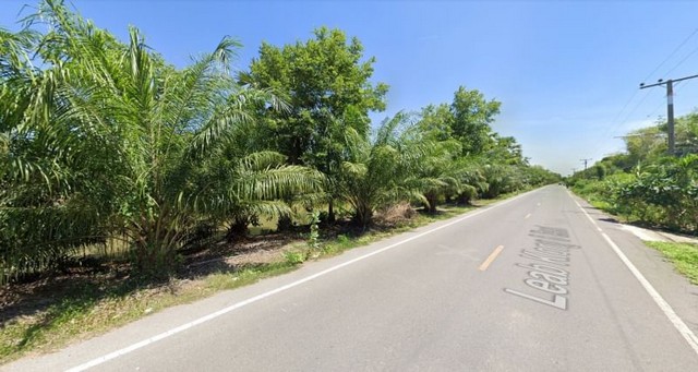 ขายที่ดินเลียบคลอง8 ตบลำบึงชำอ้อ อำเภอหนองเสือ จังหวัด ปทุมธานี 12170