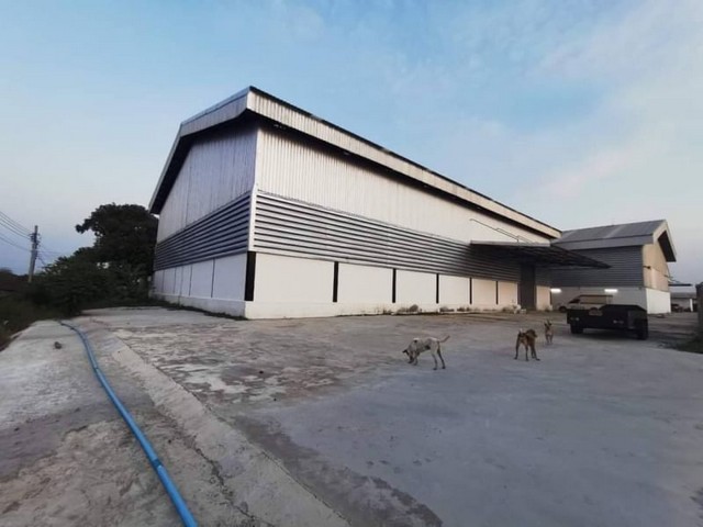 ขายโกดัง ตำบล ศีรษะจรเข้ใหญ่ อำเภอบางเสาธง สมุทรปราการ ขนาด 3 ไร่ 50 ตรว มีโกดัง 3 โกดัง