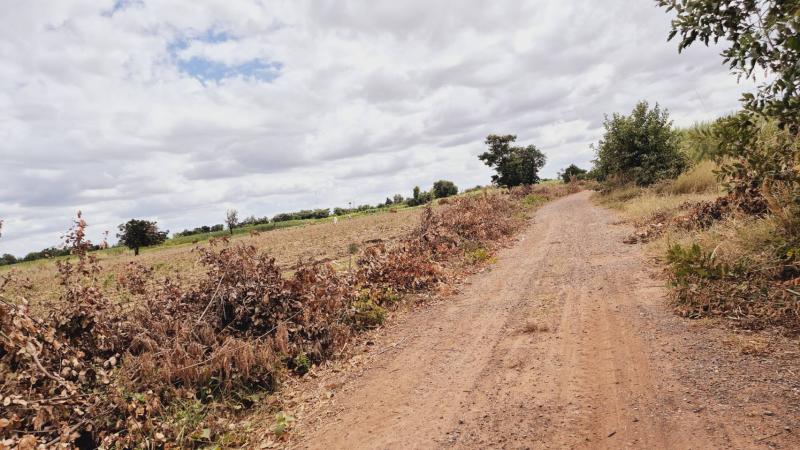 ที่ดินเปล่าโครราช 19-2-10 ไร่ ใกล้ถนนทางหลวงชัยภูมิ-สีคิ้ว