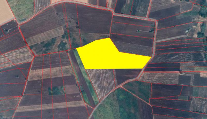 ที่ดินเปล่าโครราช 23-1-61  ไร่ ใกล้ถนนทางหลวงชัยภูมิ-สีคิ้ว