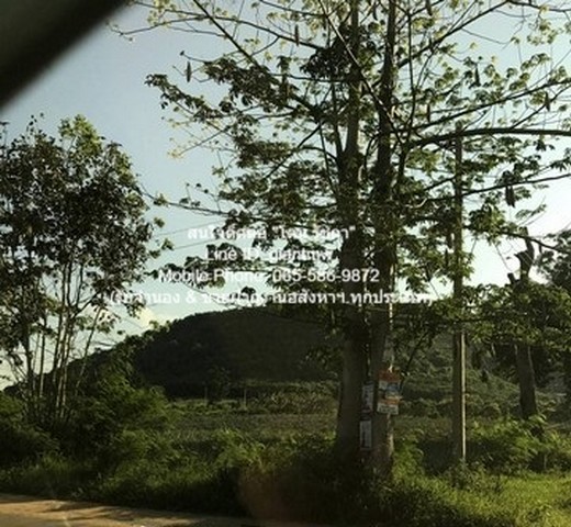 ที่ดิน ขายที่ดินเปล่าปากน้ำปราณ (ห่างชายทะเลปากน้ำปราณ 3 กม.) 335.5 ตร.ว.  6415000 บาท.   ดีลดีสุด ณ จุดนี้ ประจวบคีรีขันธ์