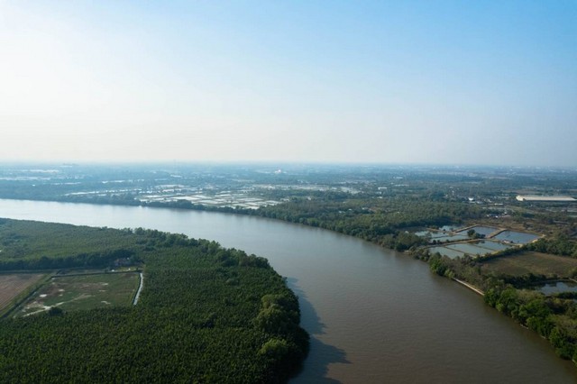                    ขายที่ติดแม่น้ำบางปะกง  346 ตรว.   ถมแล้วเต็มพื้นที่เสมอถนนด้านหน้า และมีที่งอกเพิ่มออกมาอีกมาก   แม่น้ำที่ไหลผ่านหน้าแปลงที่ดิน กว้างมากๆ  ( กว้างประมาณ 250 เมตร )                     บรรยากาศธรรมชาติ เงียบสงบ ไม่มีมลพิษ  ที่ดินมีรูปร่างสี่เหลี่ยมผืนผ้าสวย     มีไฟฟ้า ประปา ผ่านหน้าแปลงที่ดิน หน้าแปลงที่ดินกว้าง 9.5 เมตร  ทำด้วยคอนกรีตเสริมเหล็ก                  มีเพื่อนบ้านอาศัย