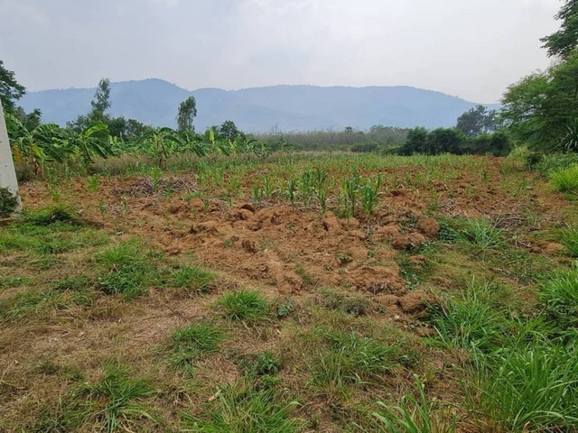 LV52946 ขาย ที่ดินเปล่า ซอยบ้านเลือดไทย แปลงสี่เหลี่ยมสวย ปลูกบ้านได้เลย ข้างบ้านดีมาก วิวเขาใหญ่เต็มๆราคาขาย : 6 ล้านบาทที่ตั้ง : ซอยบ้านเลือดไทย ตำบลหมูสี อำเภอปากช่อง นครราชสีมา 30130รายละเอียด :- 3 งาน 15 วาสถานที่ใกล้เคียง : - ร้านเมามายบ้านเลือดไทย- ซอยบ้านเลือดไทยสนใจติดต่อ :- คุณปู 093-4296535- คุณบอส 062-4539365#ขายบ้าน #ขายคอนโด #ขายที่ดินเปล่า #ขายทาวน์เฮ้าส์#หาบ้านเช่า #หาคอนโด