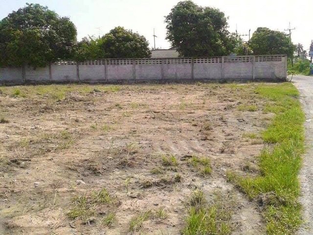 ขายที่ดิน 8ไร่ครึ่ง บ้านบึง ชลบุรี ใกล้ โรงเรียนนานาชาติ Wells International School - Chonburi ,ถ.บายพาส ชลบุรี - บ้านบึง , มอเตอร์เวย์