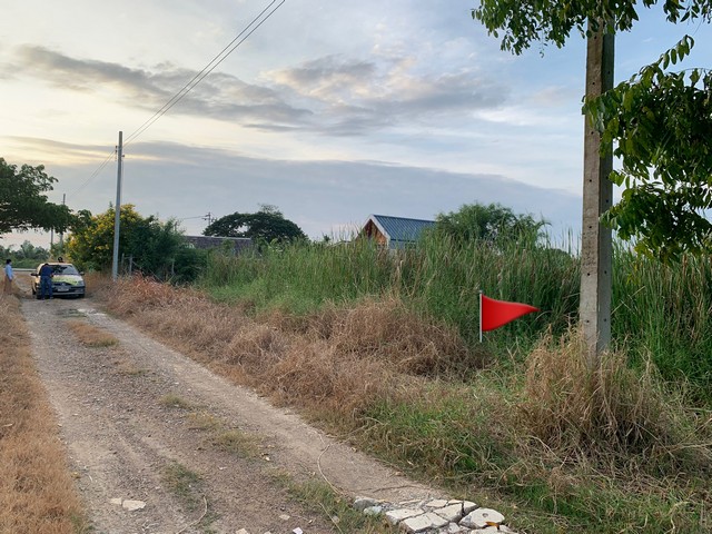 ขายที่ดินสวยหนองจอก 1 ไร่ ราคาถูก ถ.คลองสิบ-คลองสิบสี่ ซอย 7 หนองจอก กรุงเทพ  ZN668