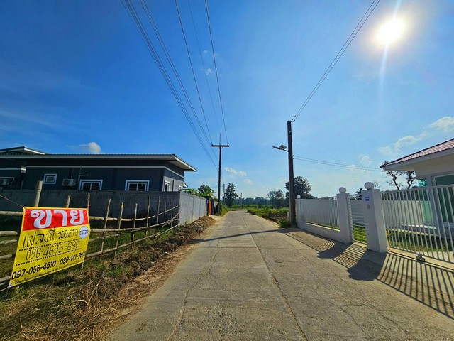 ขายที่ดินสวย ถมแล้ว   1 งาน  ทำเลทอง ติดถนนเรียบ  แม่ตาวกลาง ต.แม่ตาว อ.แม่สอด จ.ตาก  ZN669