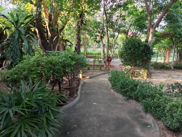 ที่ดินพร้อมสิ่งปลูกสร้าง 223 ตารางวา  ติดถนนในซอย   เมืองเก่า อุทยานประวัติศาสตร์สุโขทัย  ZN652