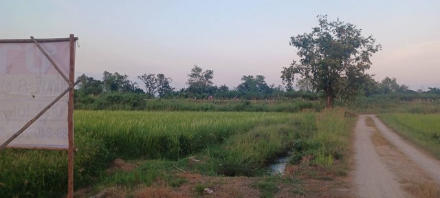 ขายที่นาราคาถูก  8-0-25 ไร่  ใกล้ชุมชนเมือง หลังเซ็นทรัลพลาซ่าพิษณุโลก  อ.เมือง จ.พิษณุโลก  ZK389