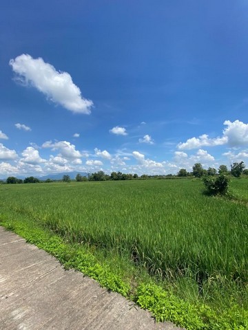 ที่ดิน วิวสวย ใกล้วัดขุนคง  ใกล้บ้านถวาย  หางดง           