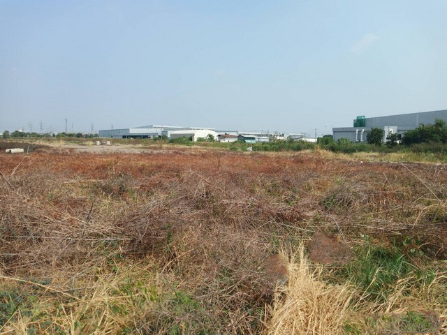 บ้าน ขายบ้านเดี่ยวหรู 3 ชั้น พร้อมอยู่ ดิ เอวา เรสซิเดนซ์ สุขุมวิท (The AVA Residence Sukhumvit) 61.8 ตร.ว. 3 น 4 น้ำ 2 จอดรถ, ราคา 27 ล้านบาท พื้นที่ =  0 Rai 0 งาน 62 ตร.วา 3Bedroom 27000000 - ใกล้ ใกล้ ทางด่วน, BTS & Airport Rail Link  ราคานี้ห้าม