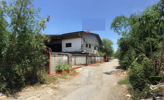 ขายบ้านพร้อมกิจการเลี้ยงปลาสวยงาม จังหวัดปทุม 2 ไร่