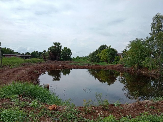 ขายถูกที่สุด ที่ดิน 4 ไร่ๆ ละ 5.5 แสน  ต.ท่าข้าม อ.พนัสนิคม จ.ชลบุรี